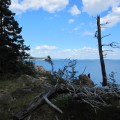 Acadia National Park #5
