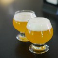 Maine Beer Company Samples
