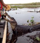 When I say close, I mean close!