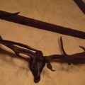 Antlers