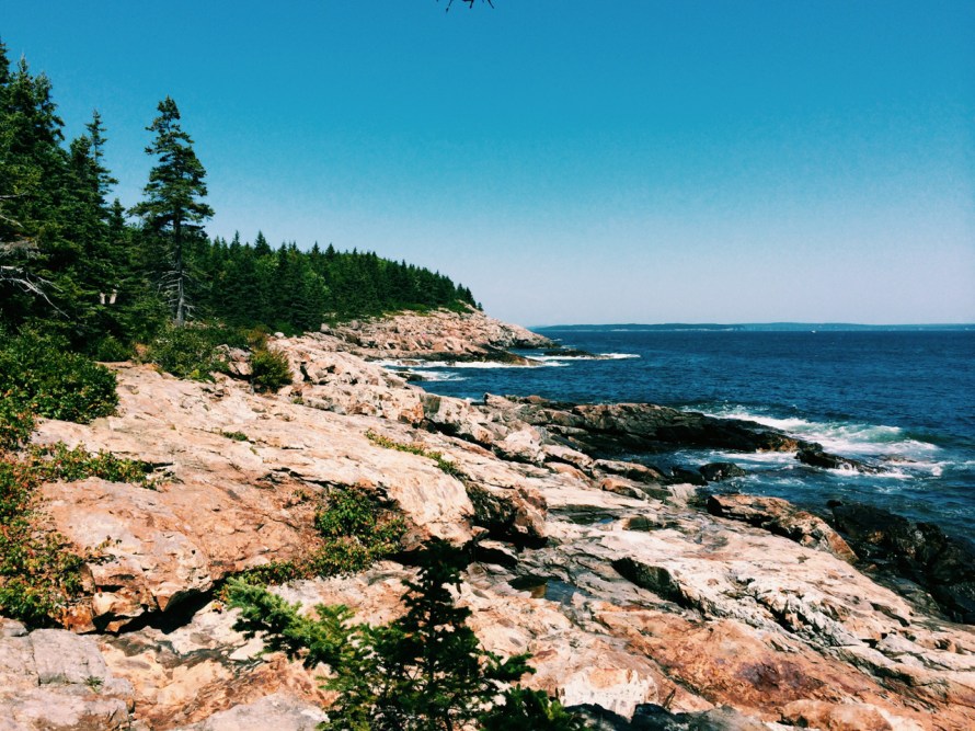 Processed with VSCOcam with c1 preset