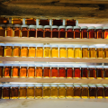 The Many Shades of Maple Syrup – 1