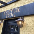 Copper Dog