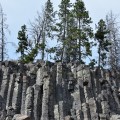 Yellowstone National Park – 8