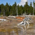 Yellowstone National Park – 9