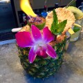 Tiki 101 at Hudson House – 11