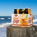 Green Flash Soul Style IPA